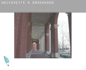 Universite à  Brookwood
