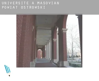 Universite à  Powiat ostrowski (Masovian Voivodeship)