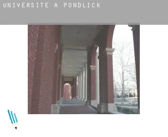 Universite à  Pondlick