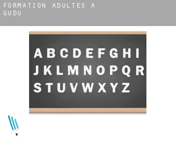 Formation adultes à  Gudu
