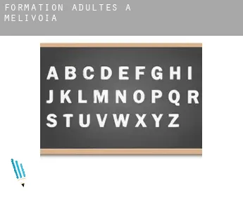 Formation adultes à  Melívoia