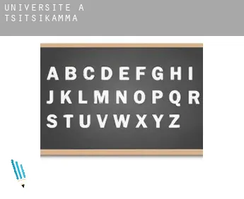 Universite à  Tsitsikamma