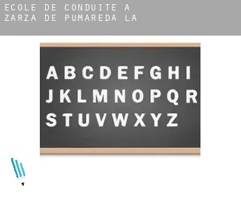 École de conduite à  Zarza de Pumareda (La)