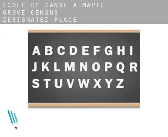 École de danse à  Maple Grove