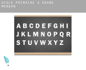 École primaire à  Adams Morgan