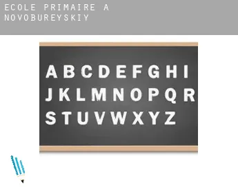 École primaire à  Novobureyskiy