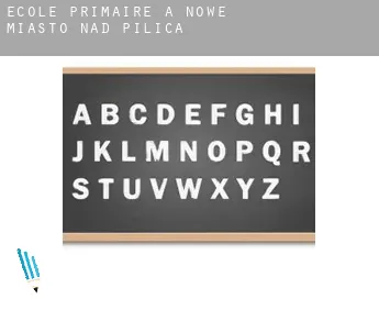 École primaire à  Nowe Miasto nad Pilicą