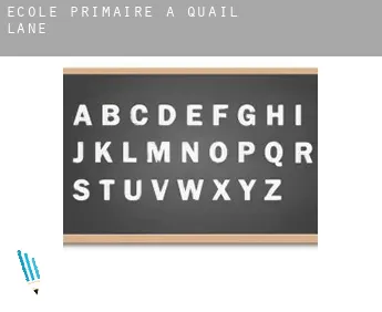 École primaire à  Quail Lane