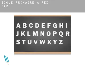 École primaire à  Red Oak