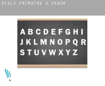 École primaire à  Zabór