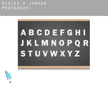 Écoles à  Janków Przygodzki