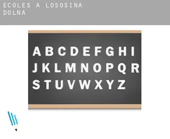 Écoles à  Łososina Dolna