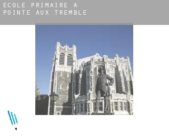 École primaire à  Pointe aux Tremble
