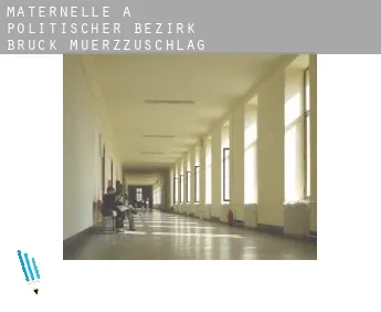 Maternelle à  Politischer Bezirk Bruck-Muerzzuschlag