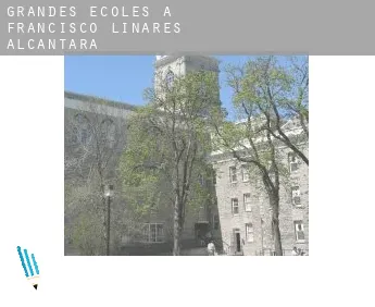 Grandes écoles à  Municipio Francisco Linares Alcántara