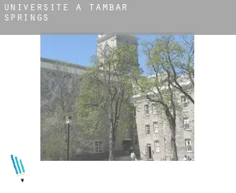 Universite à  Tambar Springs