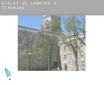 Écoles de langues à  Tianning