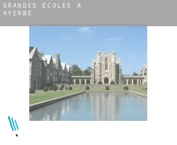 Grandes écoles à  Ayerbe