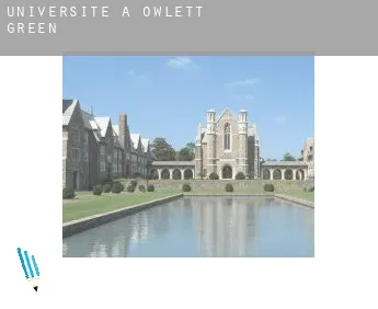 Universite à  Owlett Green