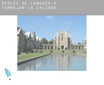 Écoles de langues à  Torrejón de la Calzada