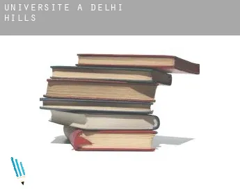 Universite à  Delhi Hills