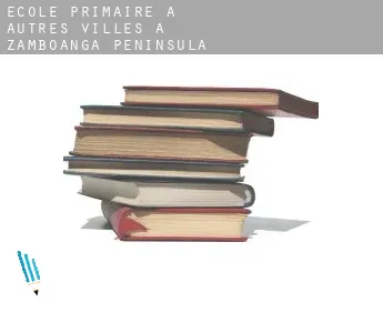 École primaire à  Autres Villes à Zamboanga Peninsula