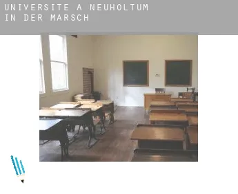 Universite à  Neuholtum in der Marsch