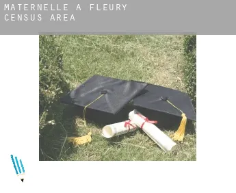 Maternelle à  Fleury (census area)