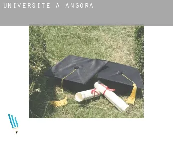 Universite à  Angora