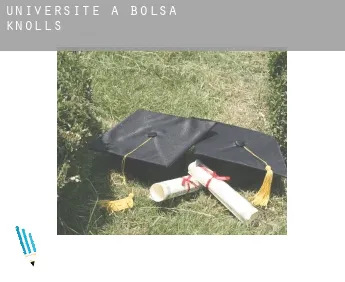 Universite à  Bolsa Knolls
