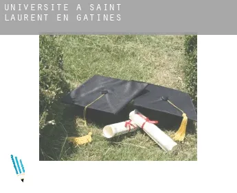 Universite à  Saint-Laurent-en-Gâtines