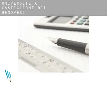 Universite à  Castiglione del Genovesi