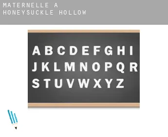 Maternelle à  Honeysuckle Hollow
