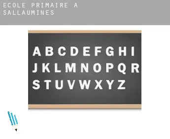 École primaire à  Sallaumines