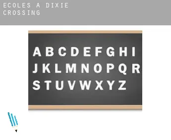 Écoles à  Dixie Crossing