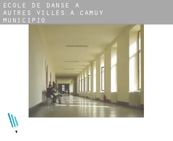 École de danse à  Autres Villes à Camuy Municipio