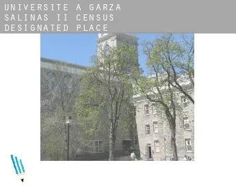 Universite à  Garza-Salinas II