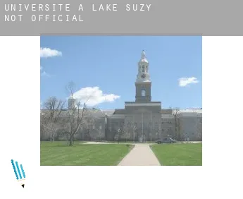 Universite à  Lake Suzy (not official)