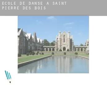 École de danse à  Saint-Pierre-des-Bois