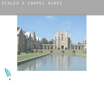 Écoles à Chapel Acres