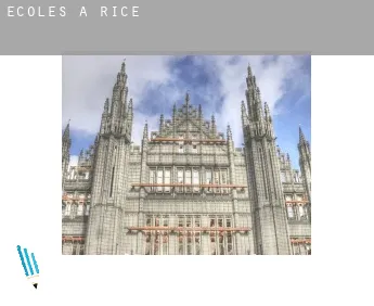 Écoles à  Rice