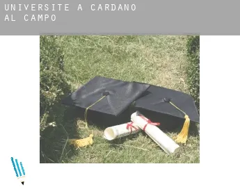 Universite à  Cardano al Campo