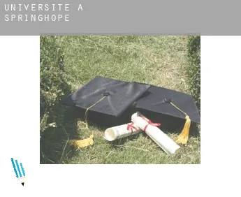 Universite à  Springhope