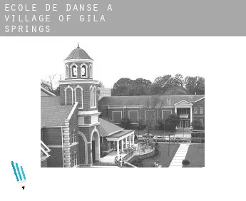 École de danse à  Village of Gila Springs