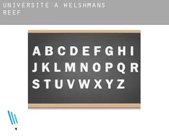 Universite à  Welshmans Reef