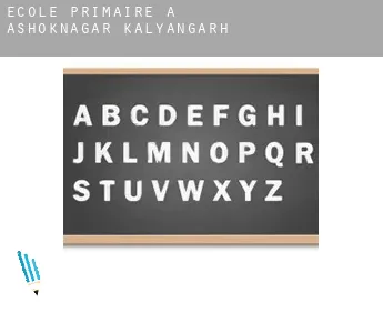 École primaire à  Ashoknagar Kalyangarh