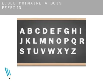 École primaire à  Bois-Fézédin