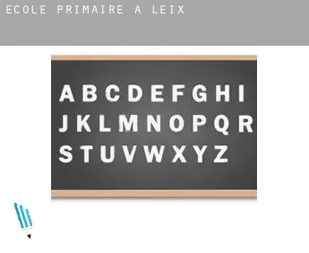 École primaire à Leix