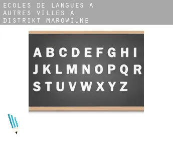 Écoles de langues à  Autres Villes à Distrikt Marowijne