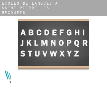 Écoles de langues à  Saint-Pierre-les-Becquets